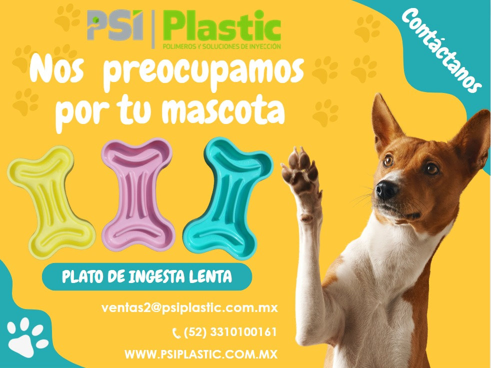 Platos para perro de ingesta lenta